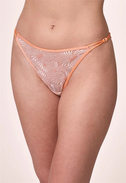 Montelle Intimates Tangerine Dream Cheekini